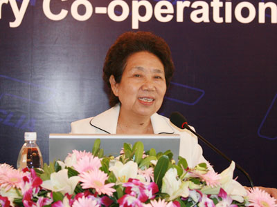 2009年中国鞋业发展报告
