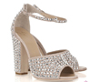 Zanotti2011�����Ը�����߸�Ь