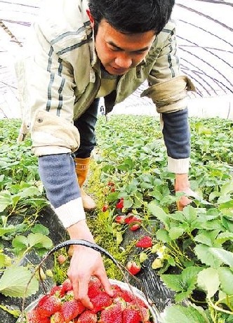 大学生毕业创业年赚40万