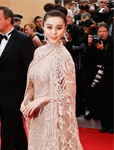 范冰冰助阵《锈与骨》首映 优雅鞋服再度惊艳红毯