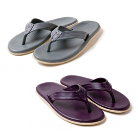Island Slipper ��nonnative �����Ƴ�������������