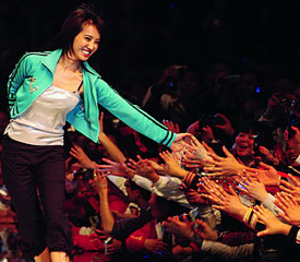 �ز�����2008