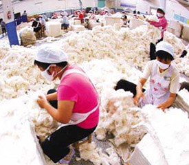 鞋服等出口大幅下降 出口退税调控效应明显